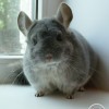 Ная