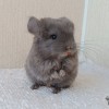 Байкал
