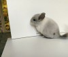 Облачко