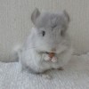 Филя