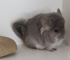 Мэй