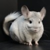 Ириска