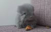 27 дней