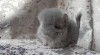 1мес