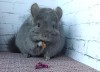 6 мес