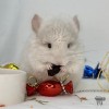 Феликс
