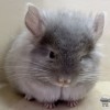 Еремей