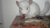 1 месяц