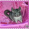 Мариэль