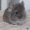 Мартин