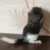 Пионер