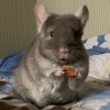 Карина