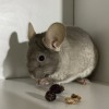 Наоми