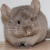 бк