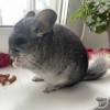 Каспер