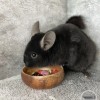 Шенни