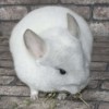 Космос
