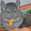 Оливер