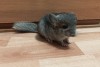 26.12.2023