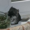 20110613мЧБ
