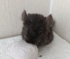 1 мес 12 дн