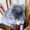 Ная МиР