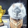 Жан Поль Лав