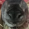 Пик