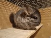 26.12.2023