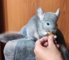 2 месяца