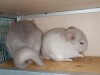 2,5 мес С мамой Беж Фио