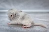 08.02.24