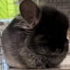 Василий