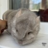 Каспер