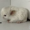 1 НАОМИ