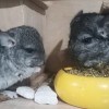 Космос