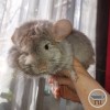 Чебурашка 4
