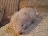 1 месяц