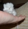 родился)