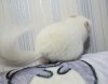22 июля 24г