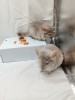 С мамой