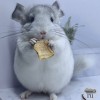 Лала Чин Лав
