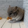Тася_КХ