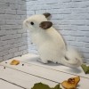 Филя_Шонни_КХ