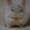 Куини