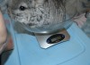 За неделю до трёх мес.
