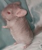 М2