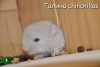 Баливия