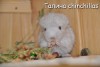 Валли