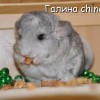 Экзотика